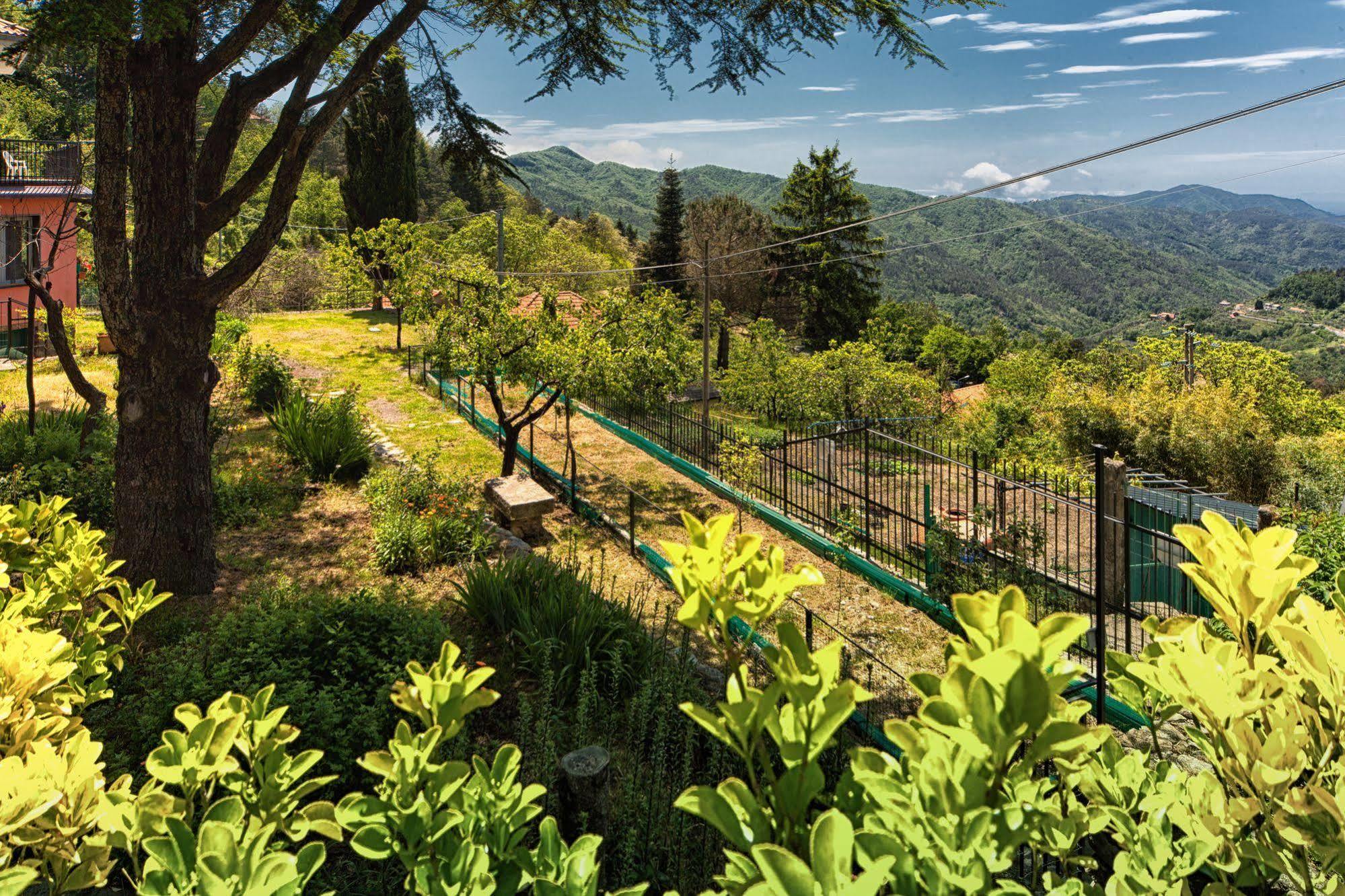 Oasi Verde Castiglione Chiavarese Luaran gambar