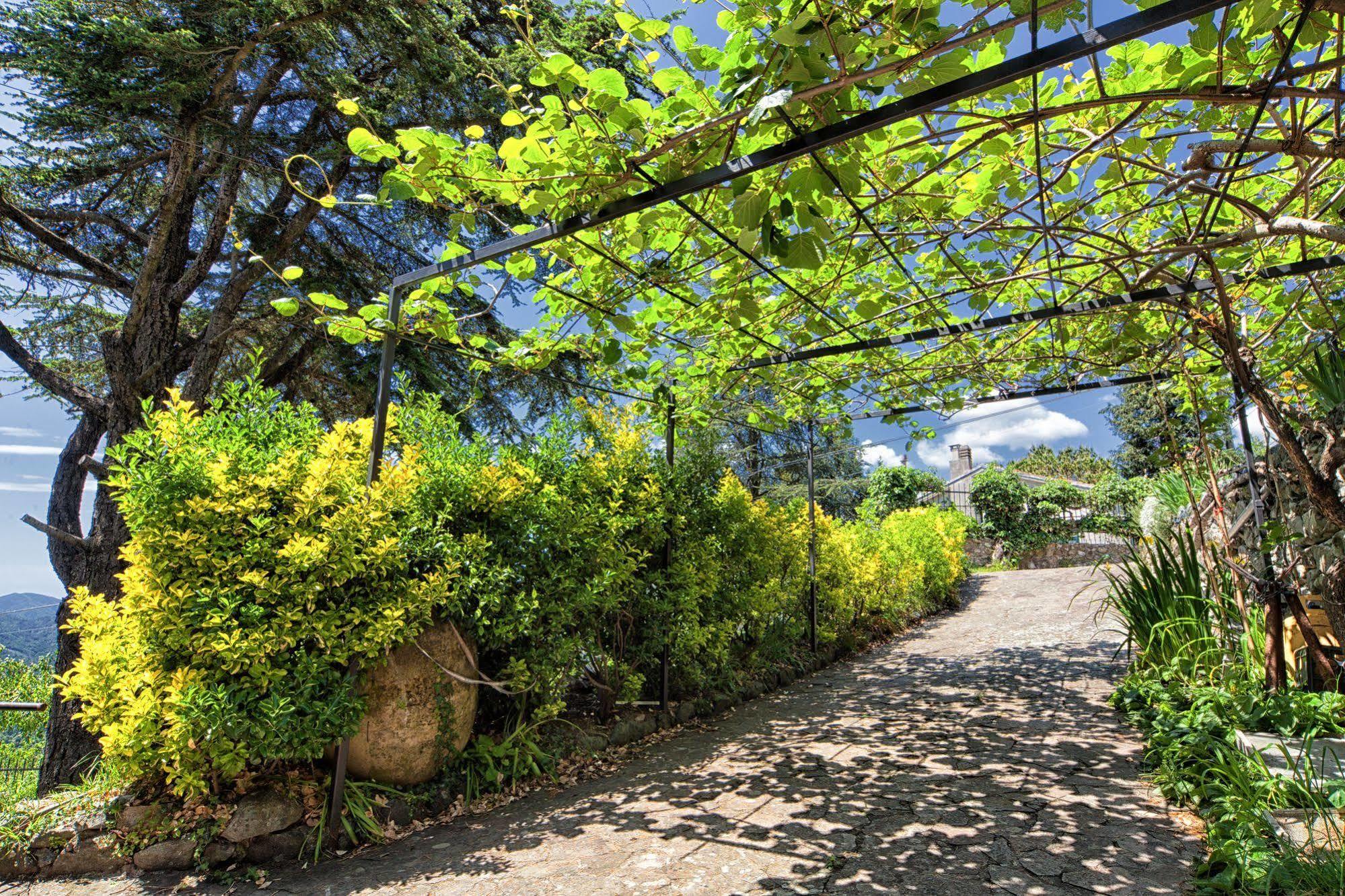 Oasi Verde Castiglione Chiavarese Luaran gambar
